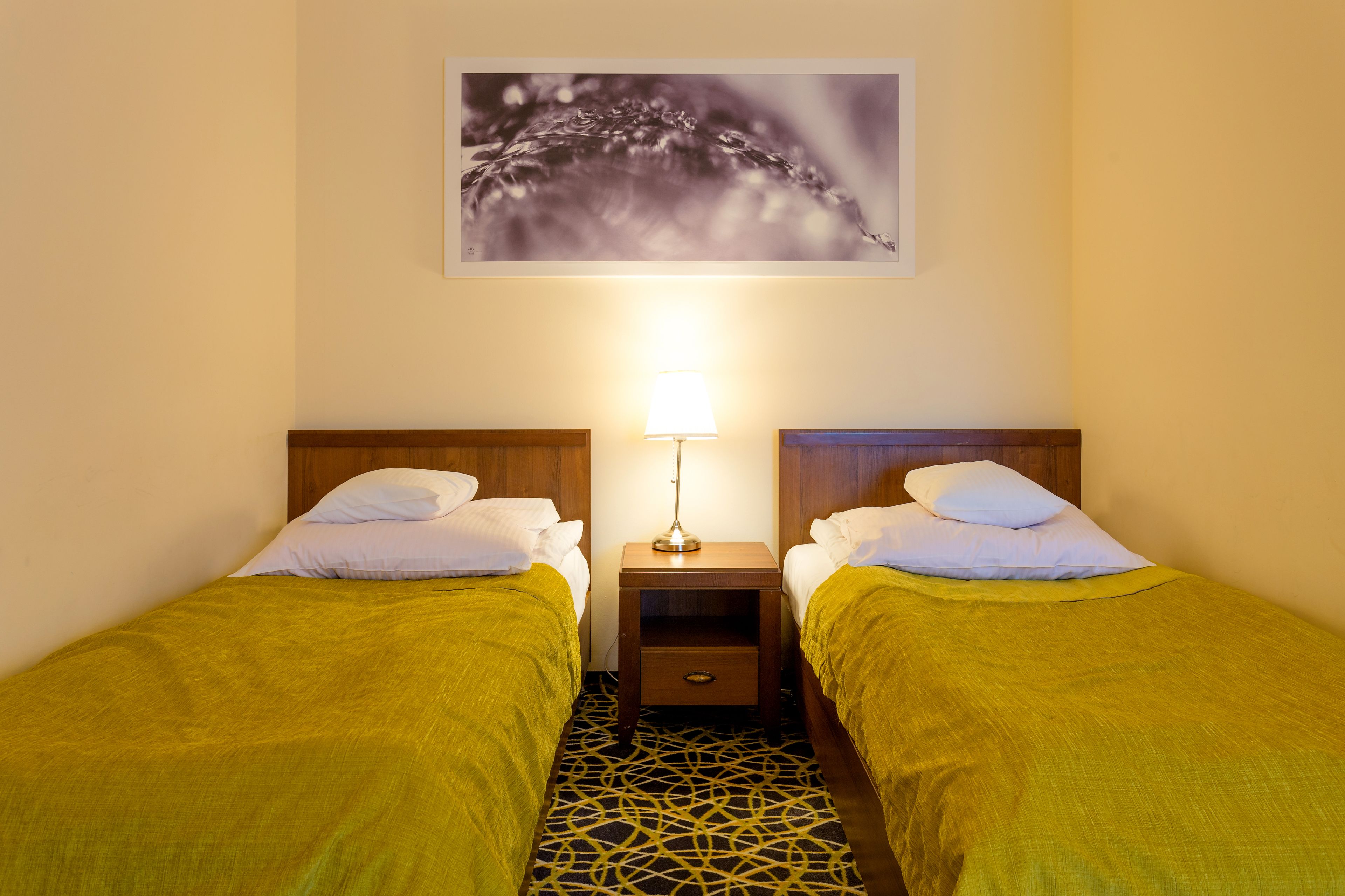 A room with two single beds, a nightstand with a lamp, and a wall-mounted picture.