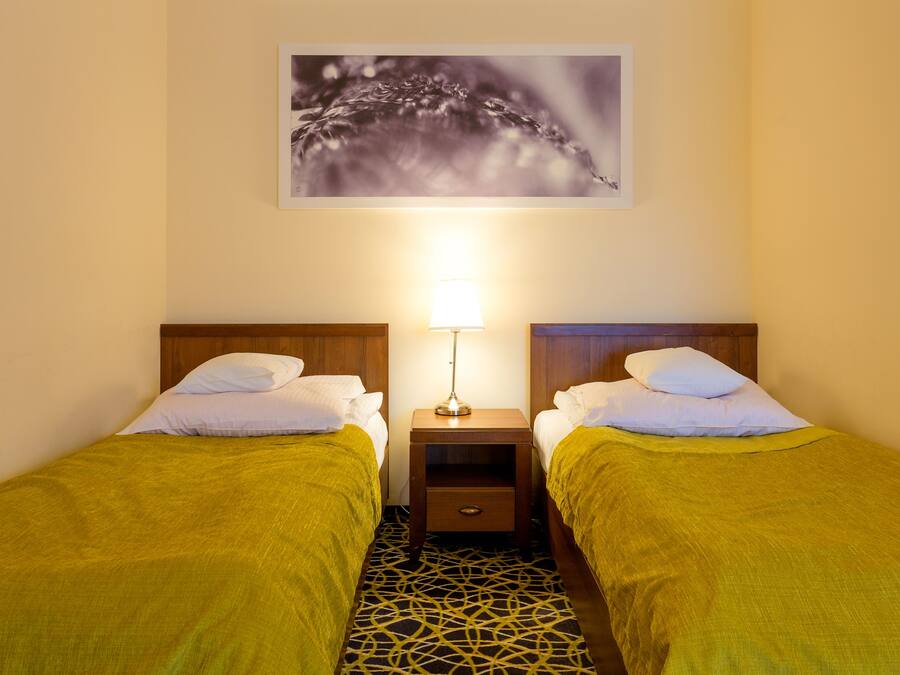 A room with two single beds, a nightstand with a lamp, and a wall-mounted picture.