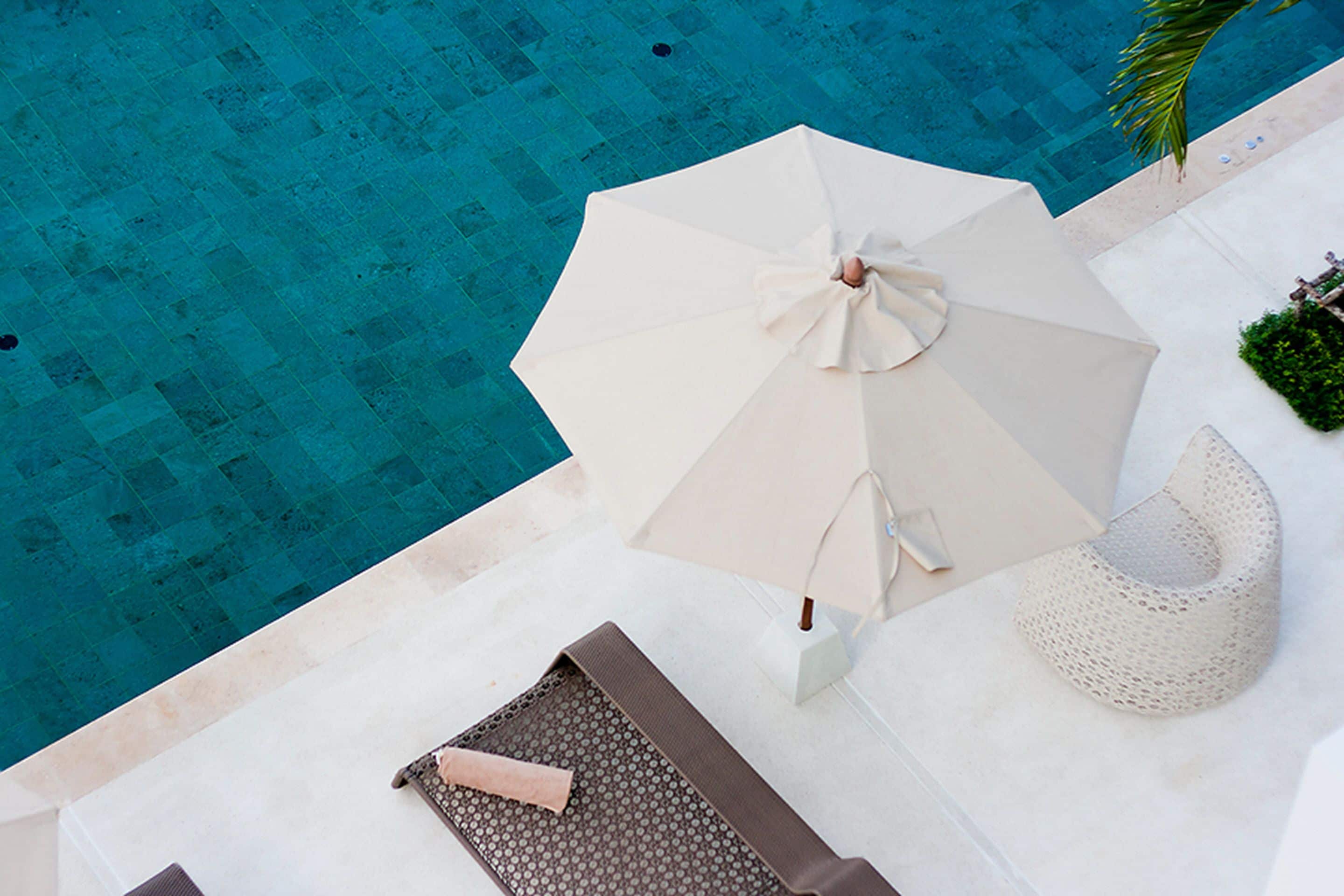 Zona de piscina con una silla de salón, una sombrilla y una planta pequeña.