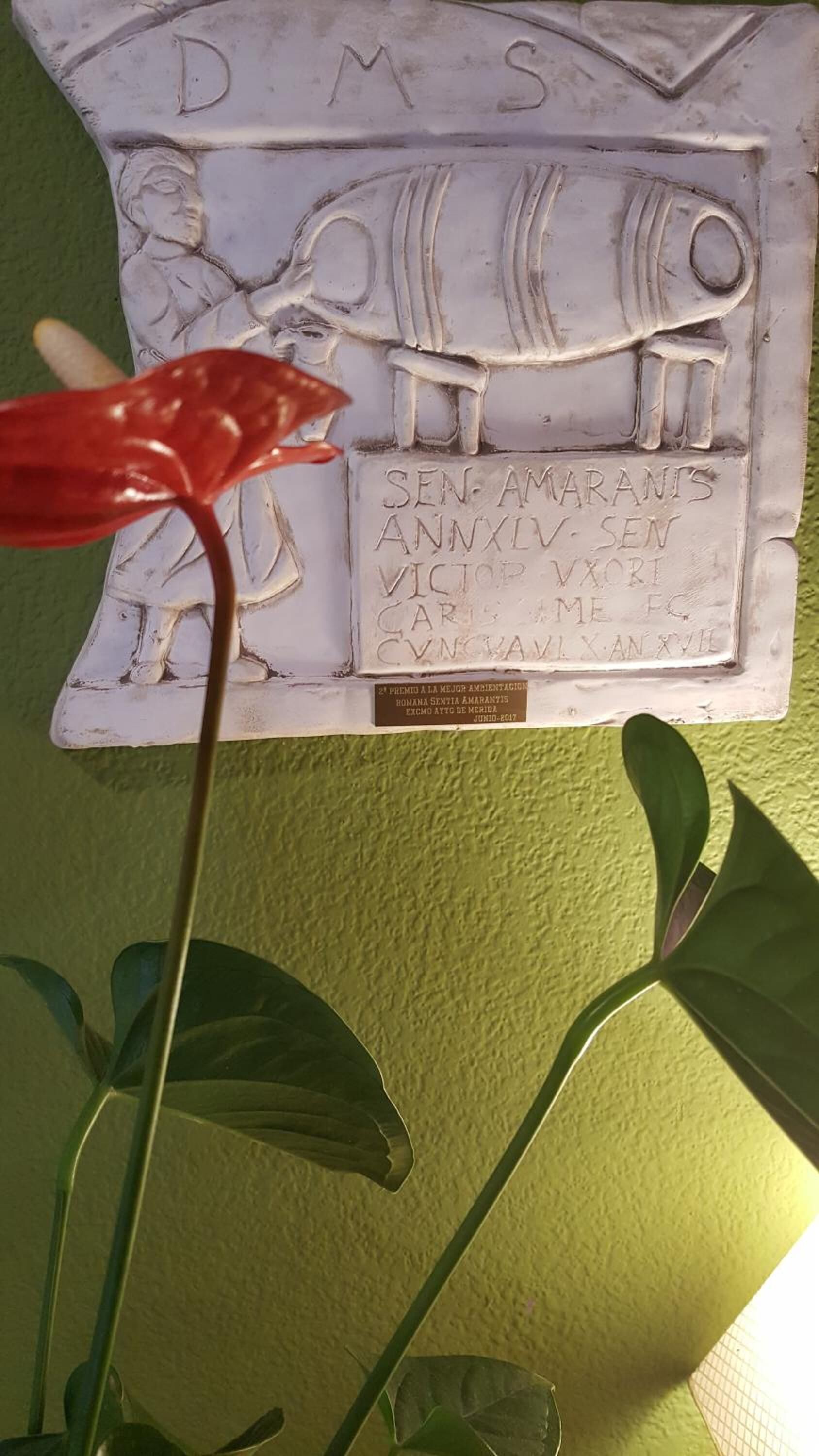 Een plaquette met inscripties en een rode bloem ervoor.
