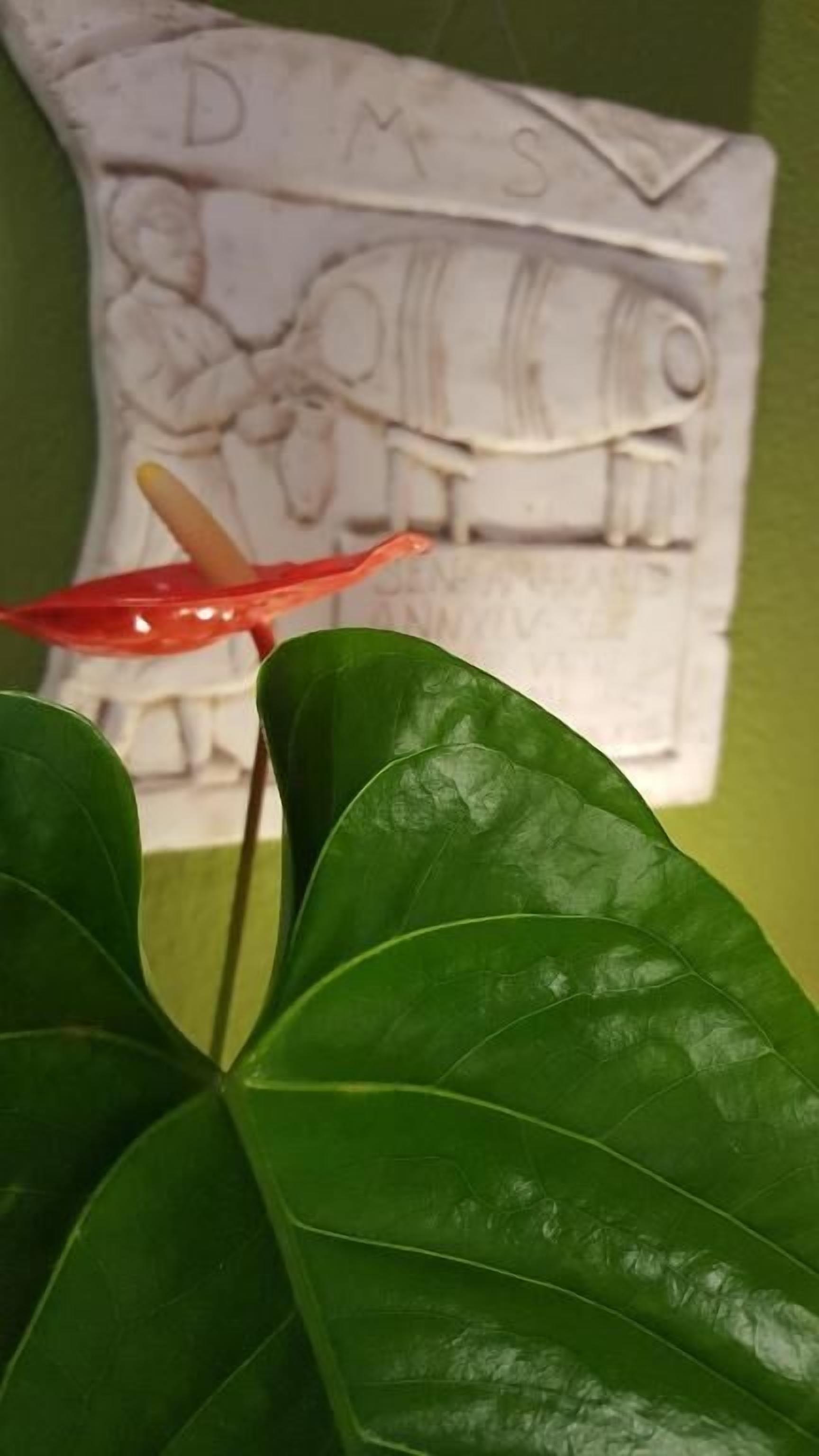 Primer plano de una planta verde con un objeto rojo en primer plano.