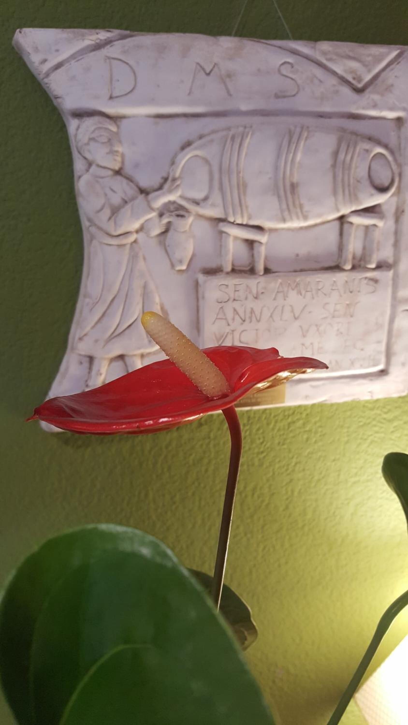 Kamar