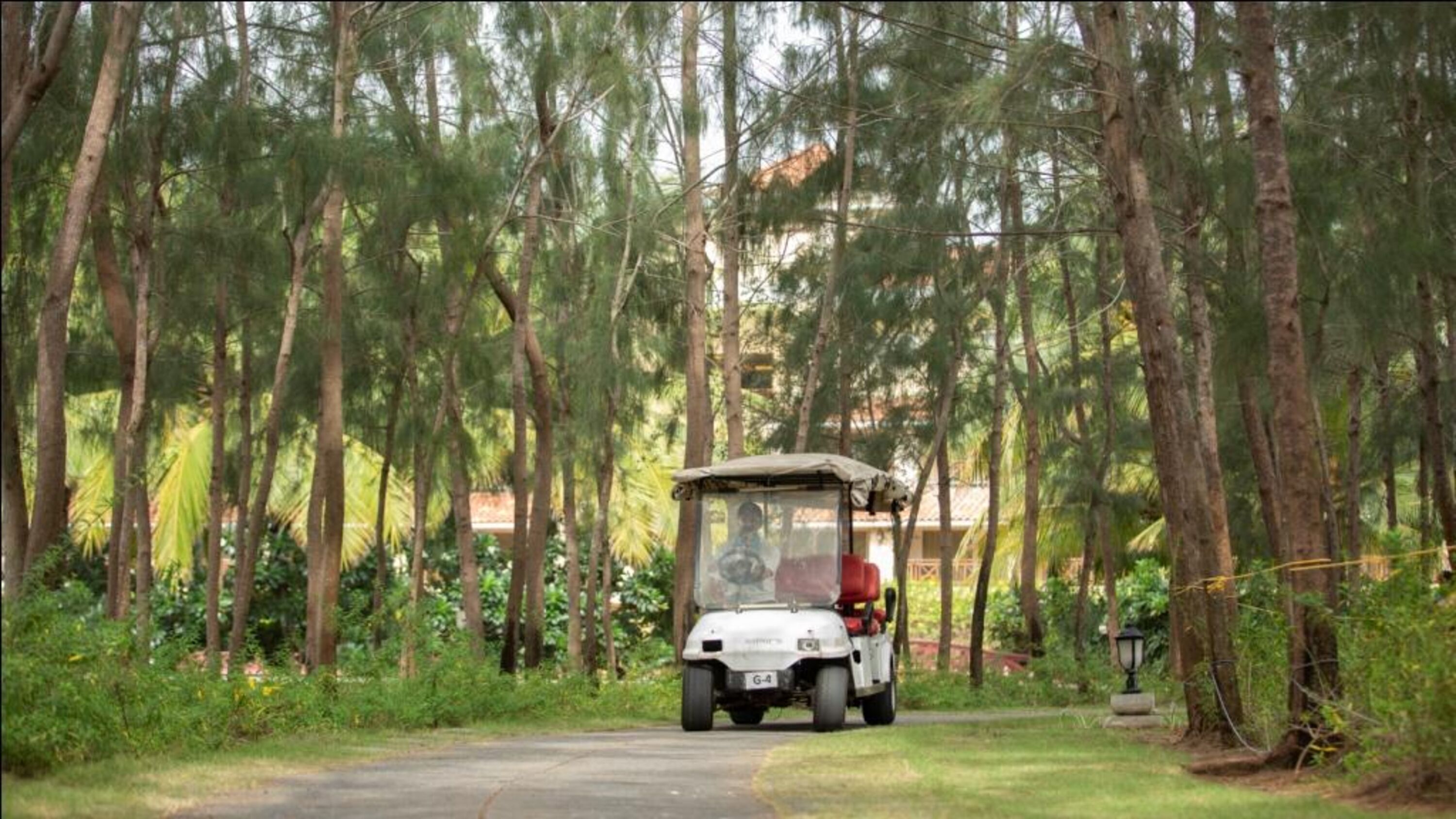 Un carrito de golf circulando por un área boscosa con árboles altos y un edificio al fondo.