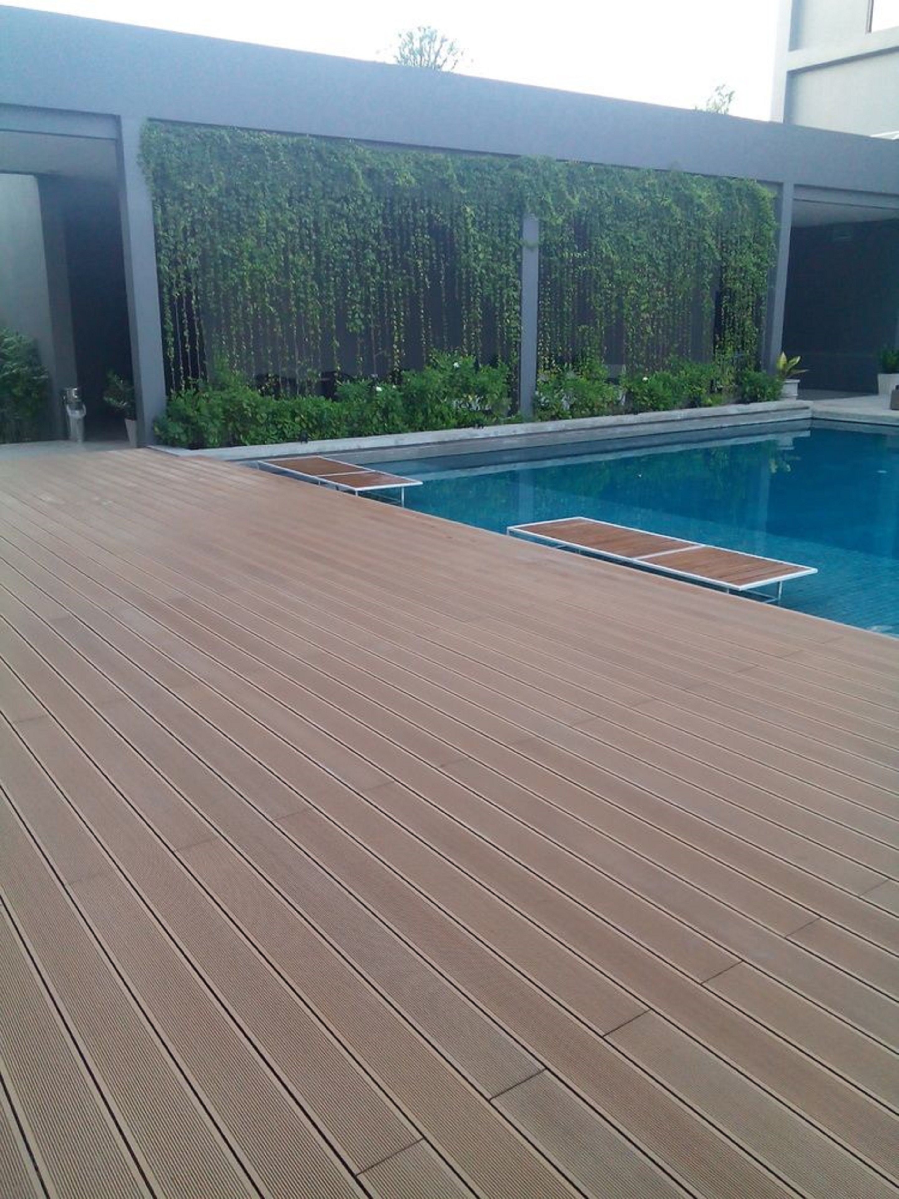 A swimming pool with a wooden deck and a green vertical garden wall.
