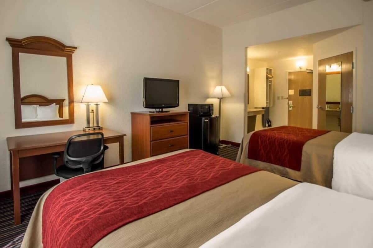 A hotel room with two beds, a desk with a chair, a television, a microwave, and a mirror.