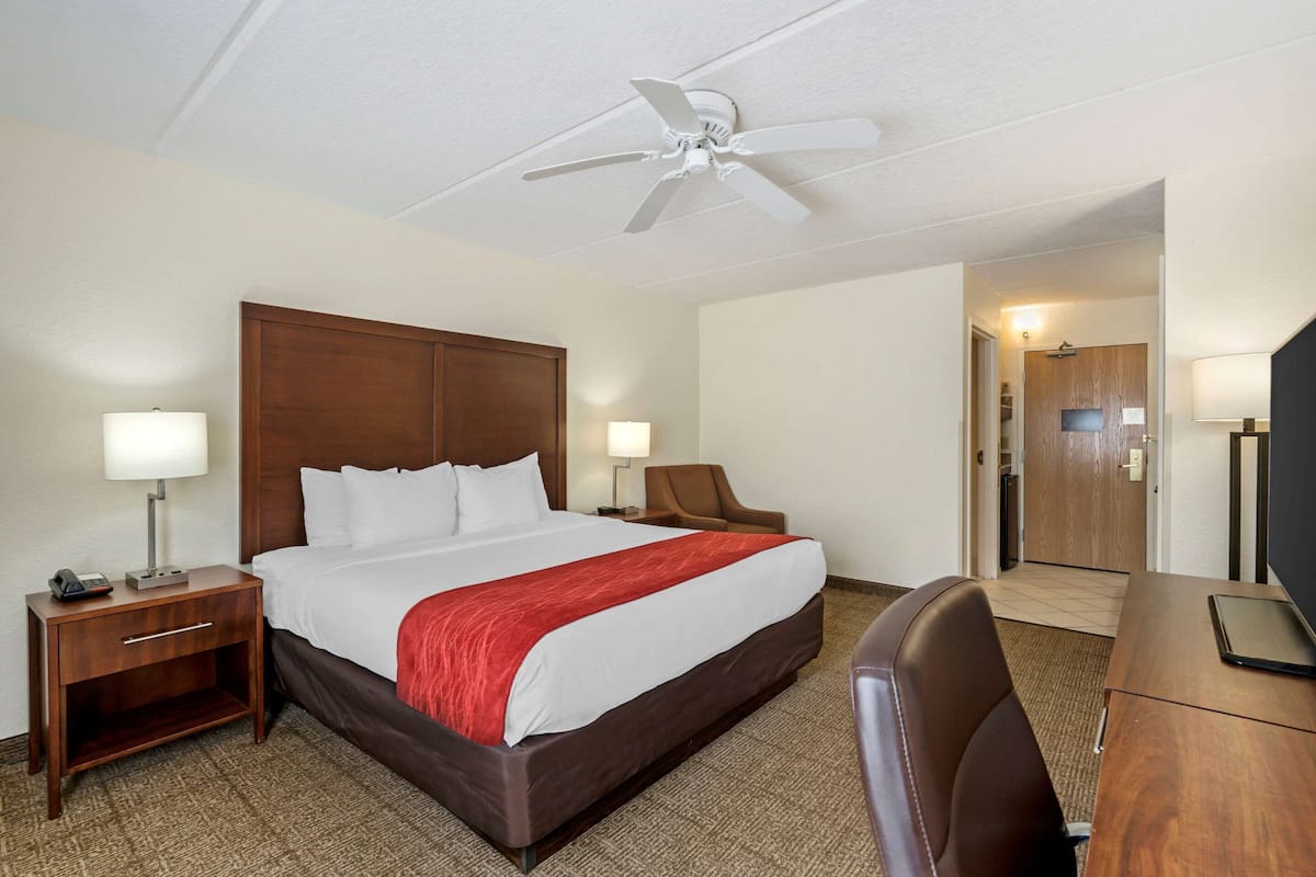 A hotel room with a bed, a desk, a chair, a nightstand, a lamp, a ceiling fan, and a door leading to another room.