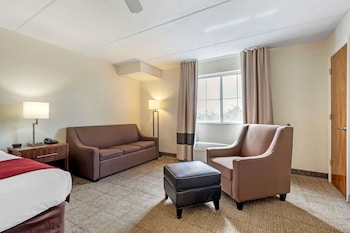 Standard Room, 1 King Bed with Sofa bed, Non Smoking | In-room safe, desk, iron/ironing board, rollaway beds at Comfort Inn Kissimmee-Lake Buena Vista South