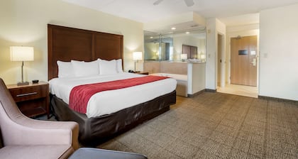 Comfort Inn Kissimmee-Lake Buena Vista South