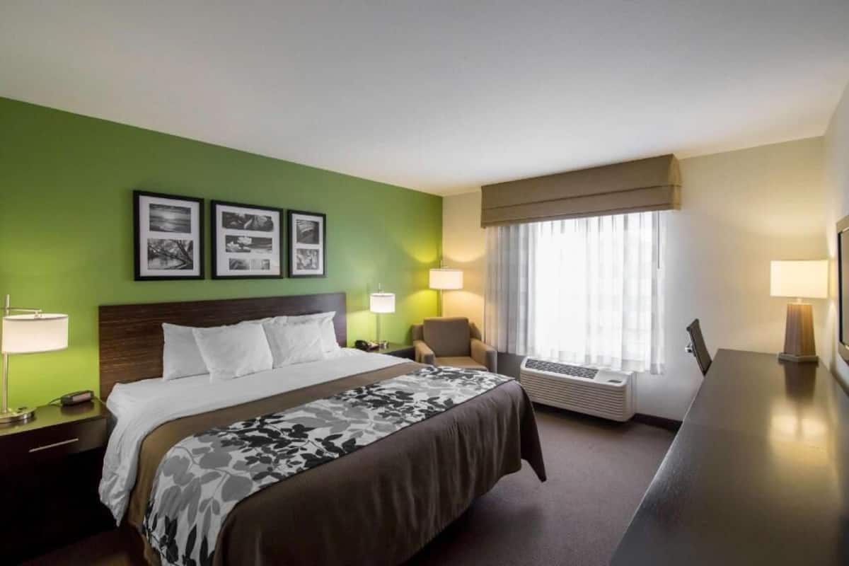 A hotel room with a bed, a desk, a chair, a window with curtains, and wall-mounted picture frames.
