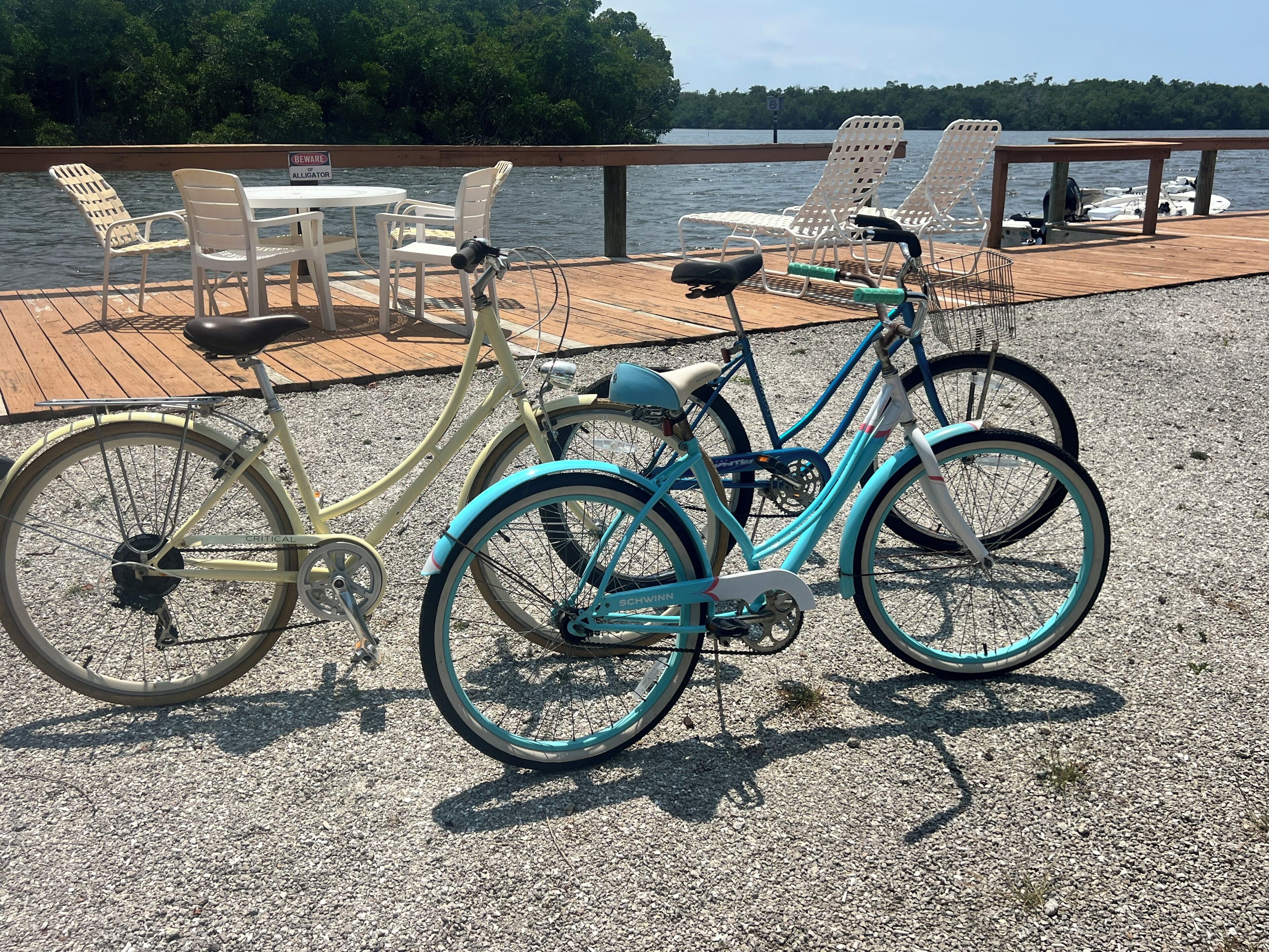 自転車