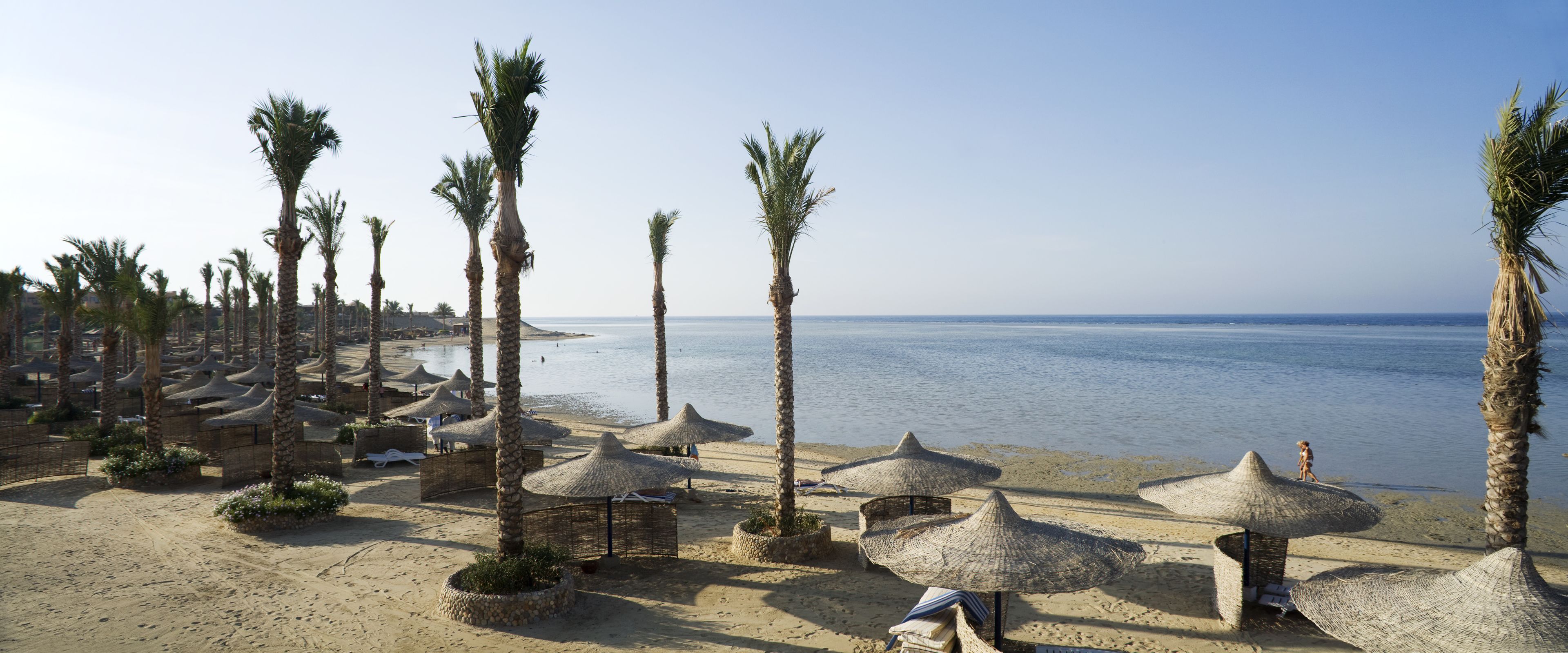 A beach with palm trees, thatched umbrellas, and lounge chairs.