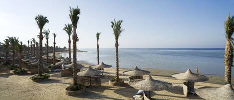 A beach with palm trees, thatched umbrellas, and lounge chairs.