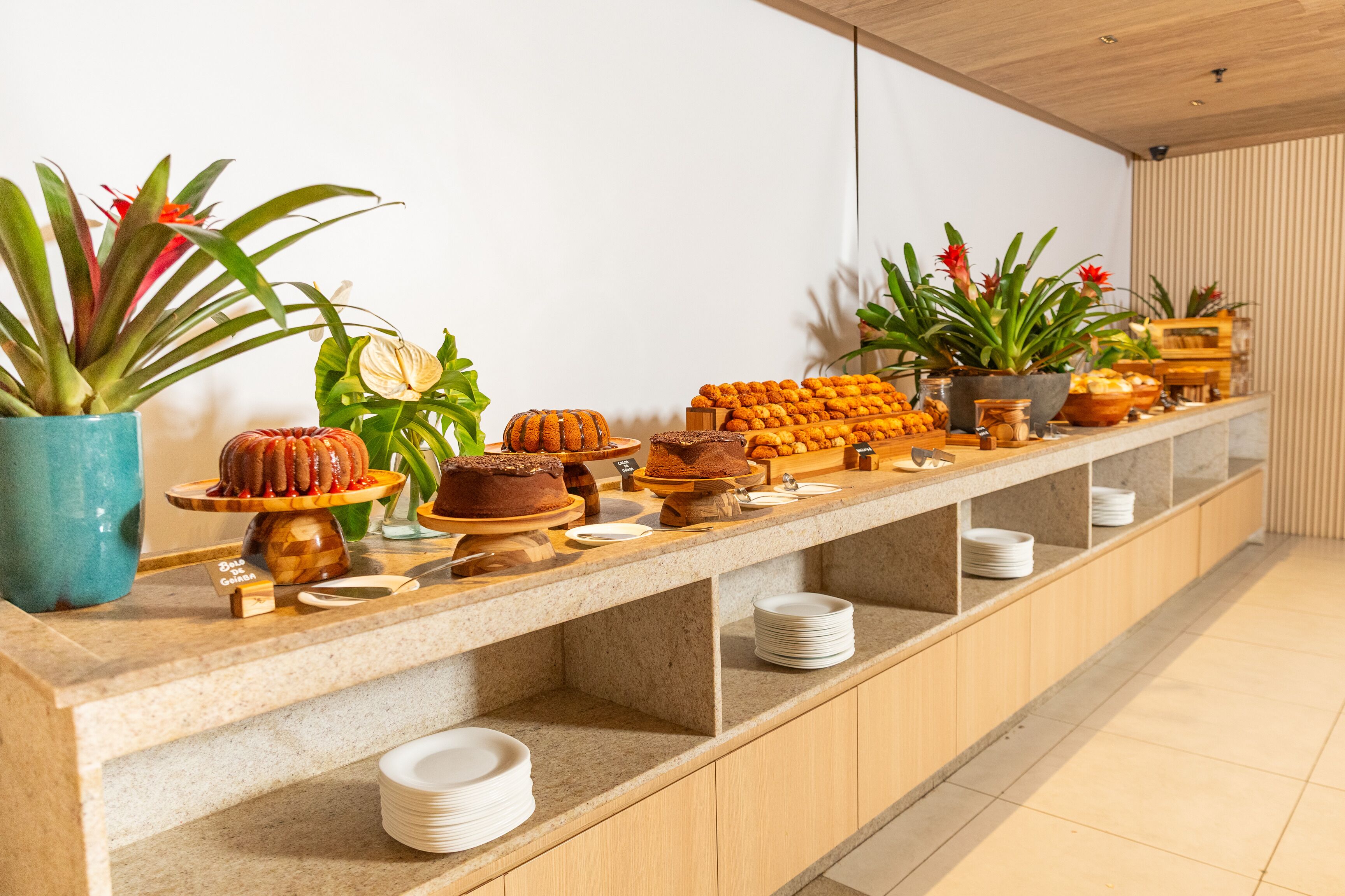 Mostrador de buffet con diferentes alimentos y una selección de plantas en macetas.
