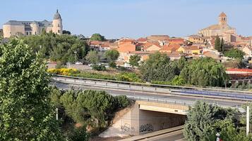 Un puente con un tren cruzándolo, rodeado de vegetación y edificios.