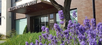 Hotel Pago del Olivo