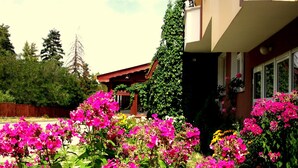 Una casa con un jardín lleno de flores rosas, una cerca de madera y un cielo despejado.
