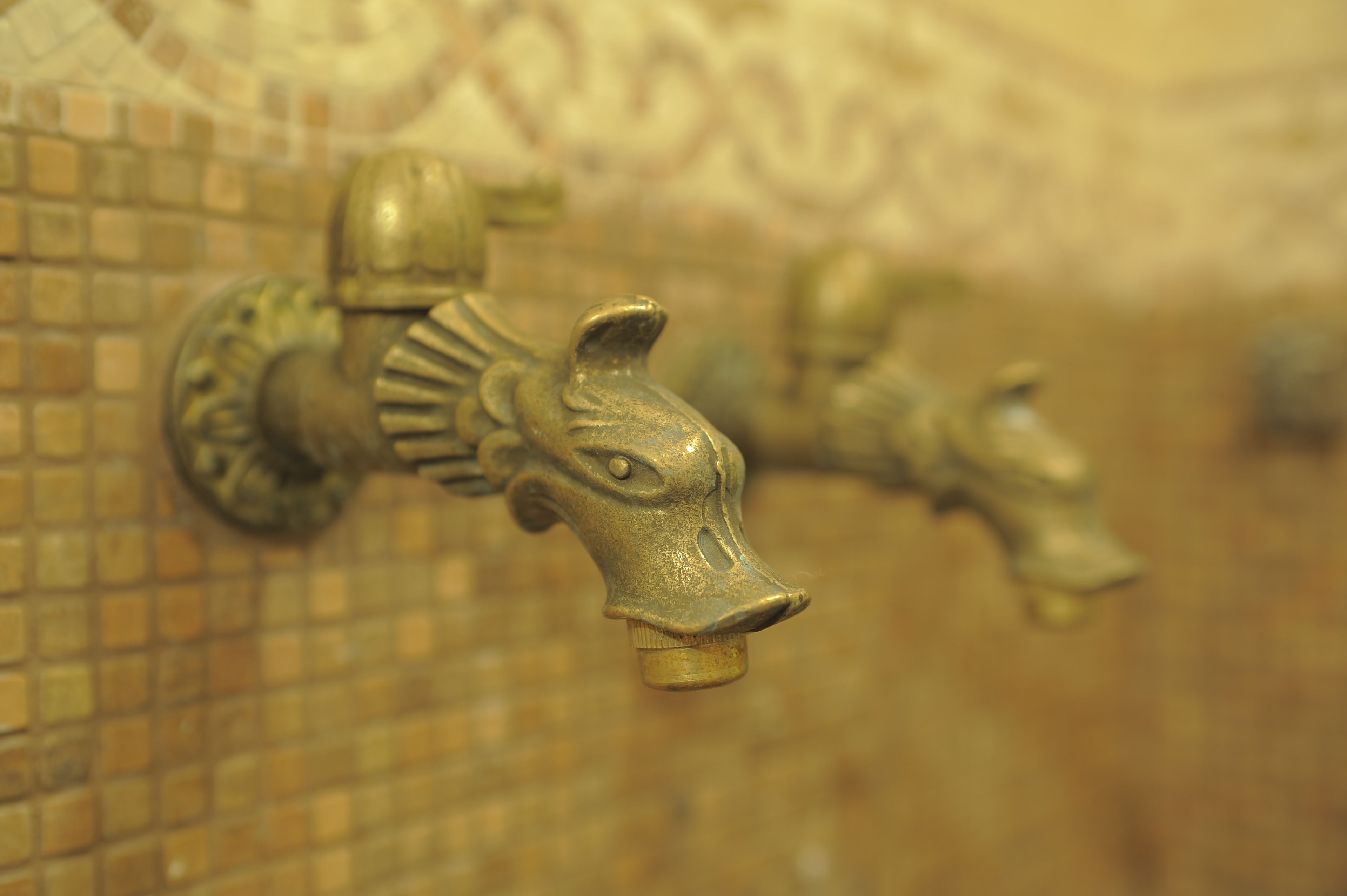 A close-up of a brass faucet with a decorative head, mounted on a tiled wall.