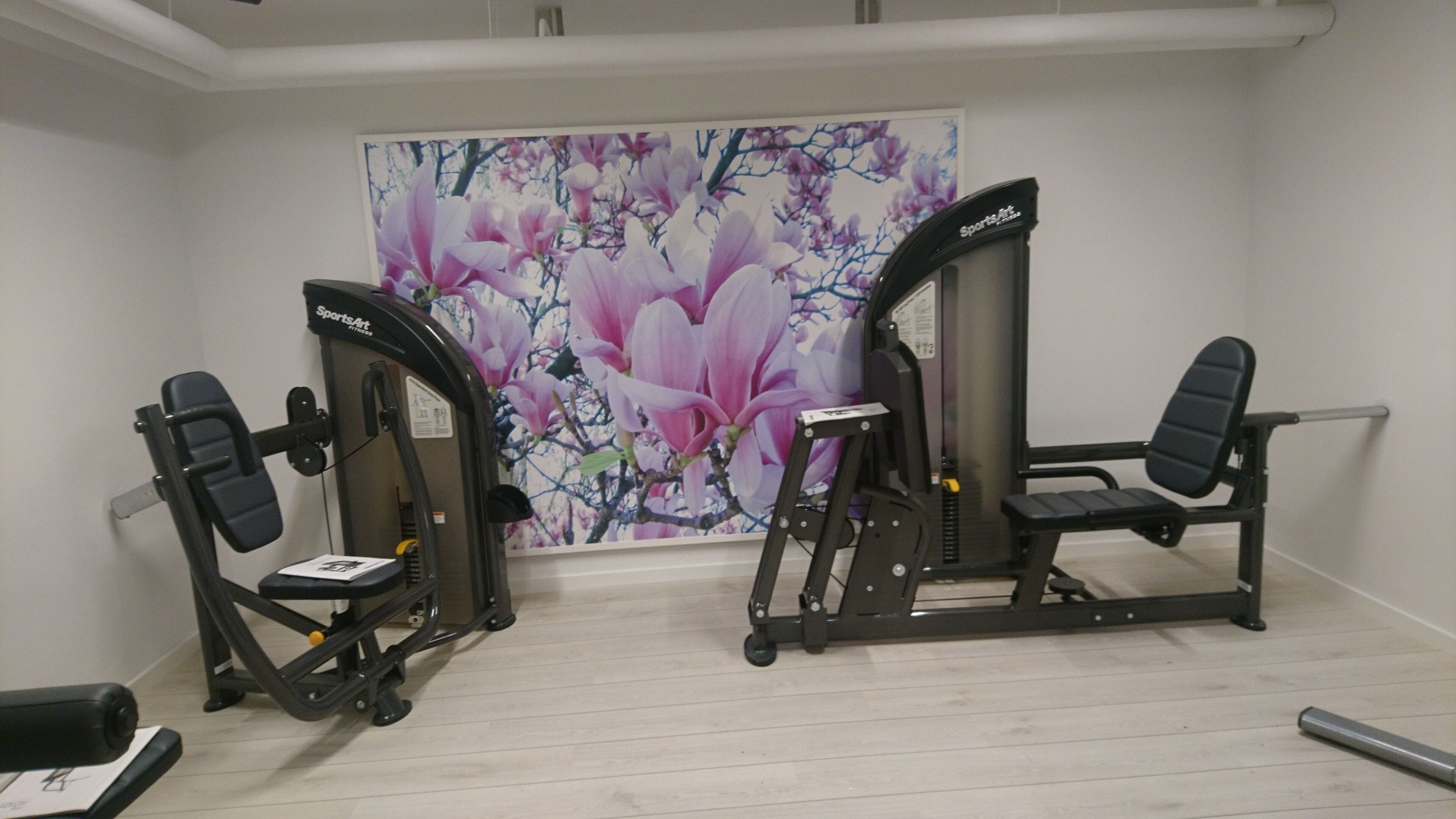 A gym with two exercise machines, a wooden floor, and a large floral painting on the wall.