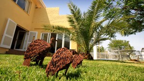 A building with a yellow exterior and a grassy yard. - Villa Moringa Guesthouse (Windhoek)