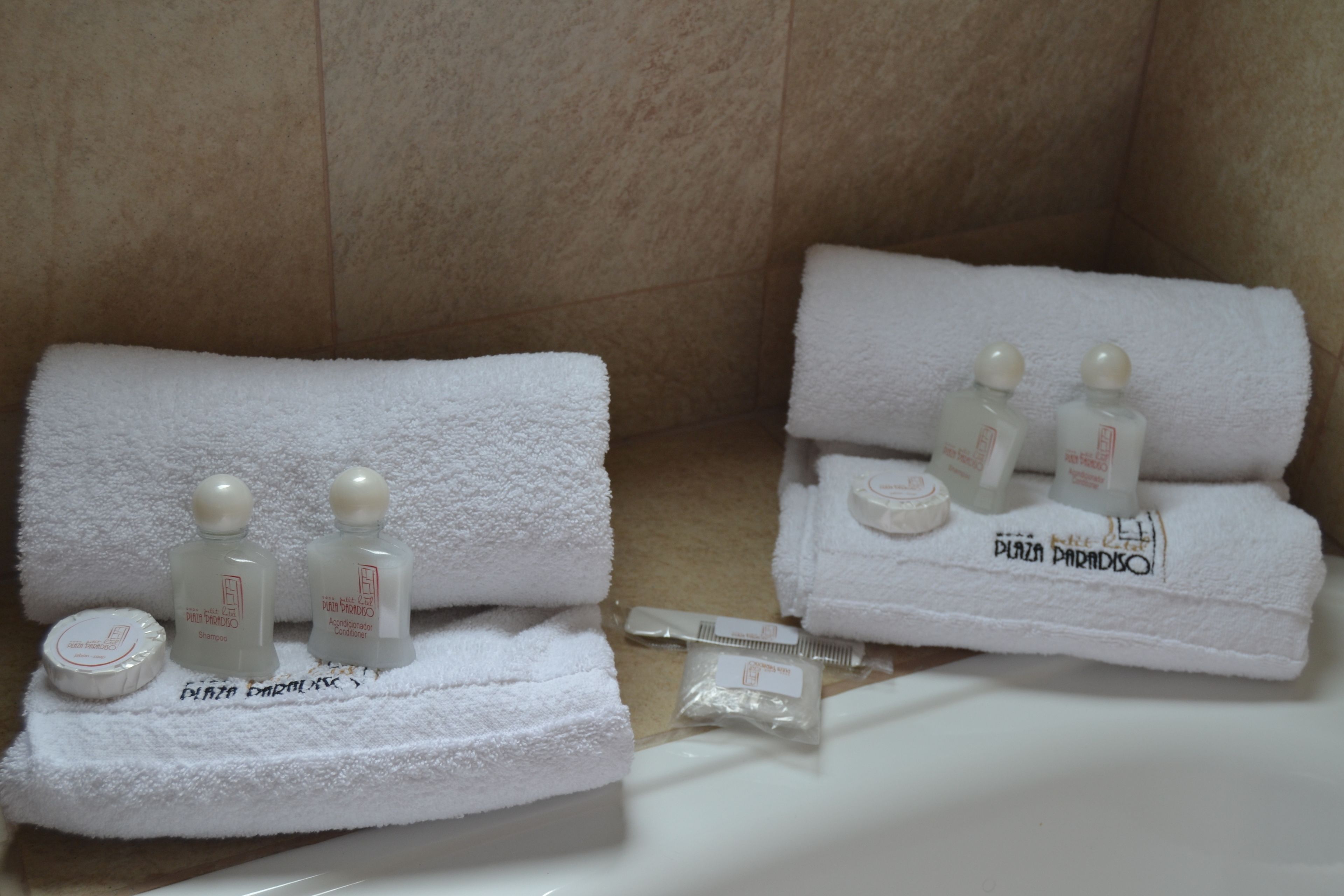 deluxe room | bathroom | shower, rainfall showerhead, hair dryer, bidet