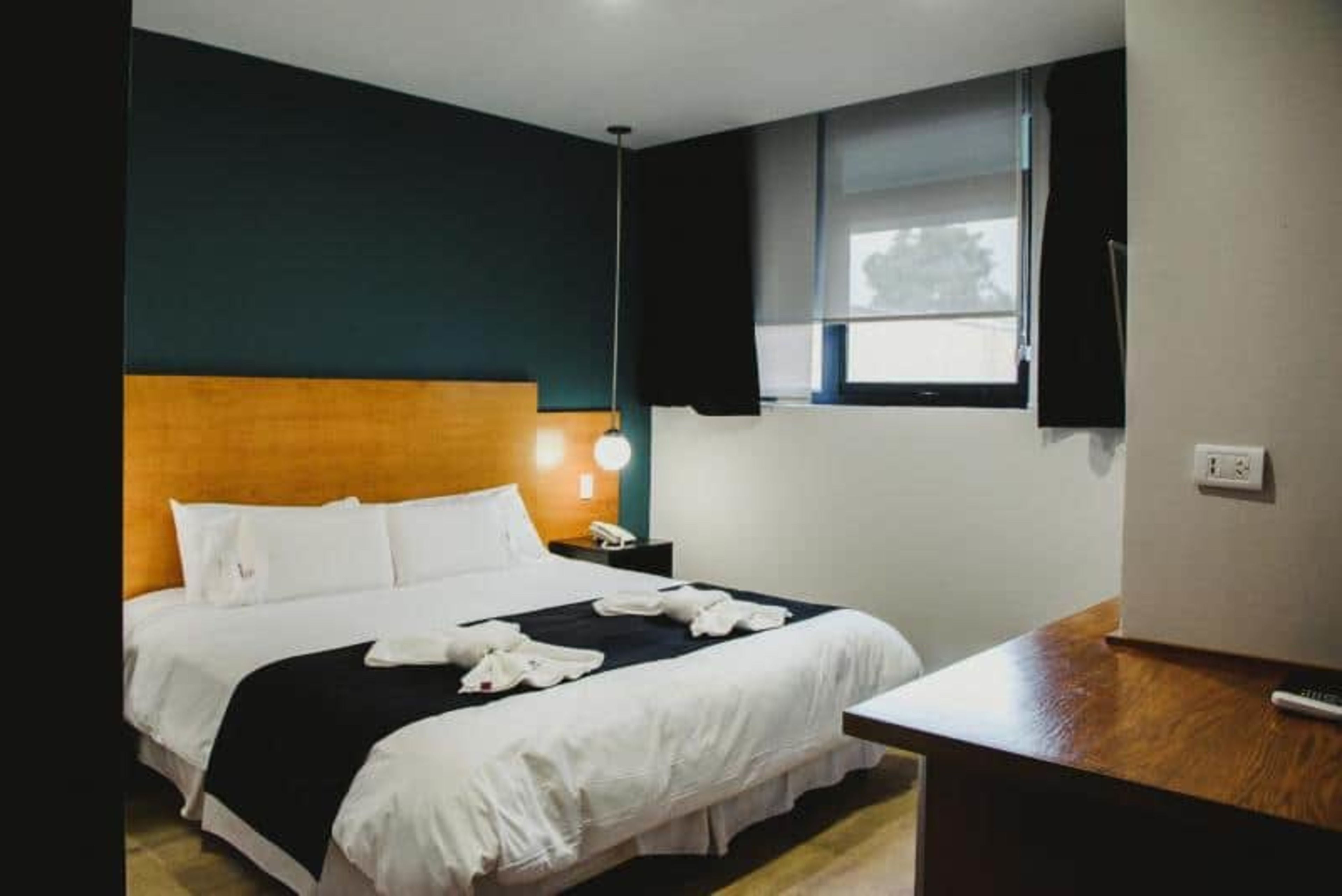 basic room, 1 king bed | view from room