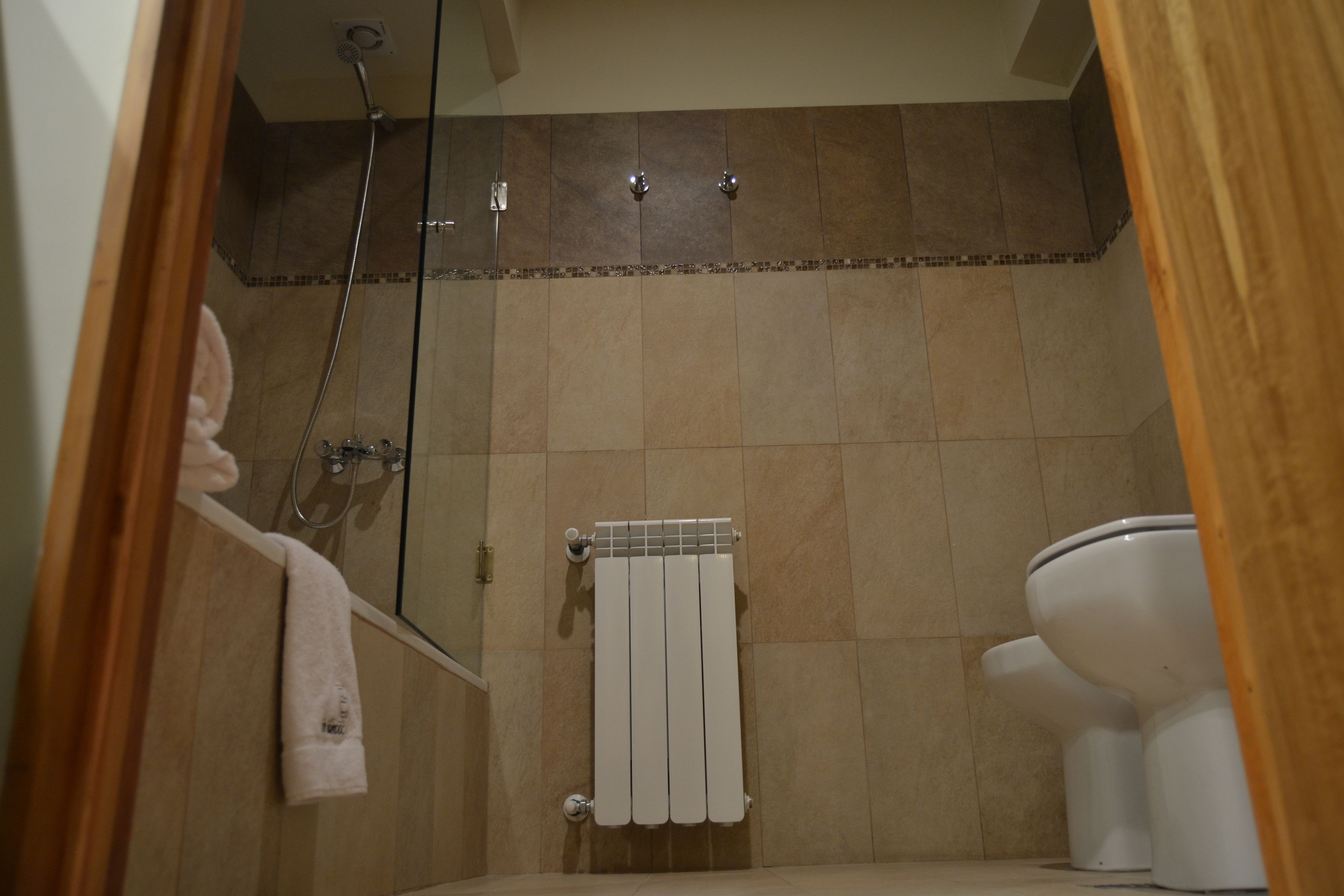 deluxe room | bathroom | shower, rainfall showerhead, hair dryer, bidet