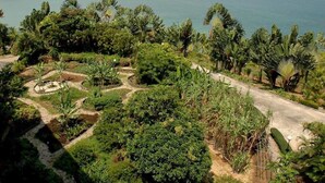 A coastal landscape with a paved pathway, dense greenery, and a view of the sea. - Batam View Beach Resort (Batam)