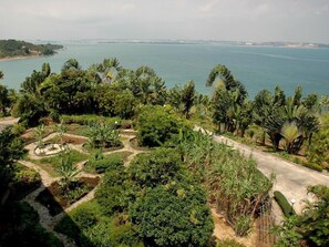 Un paysage côtier avec un sentier pavé, une végétation luxuriante et une vue sur la mer.