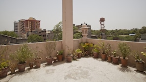 Una terraza en la azotea con plantas en macetas dispuestas en semicírculo, una columna central alta y vistas de edificios y árboles circundantes.