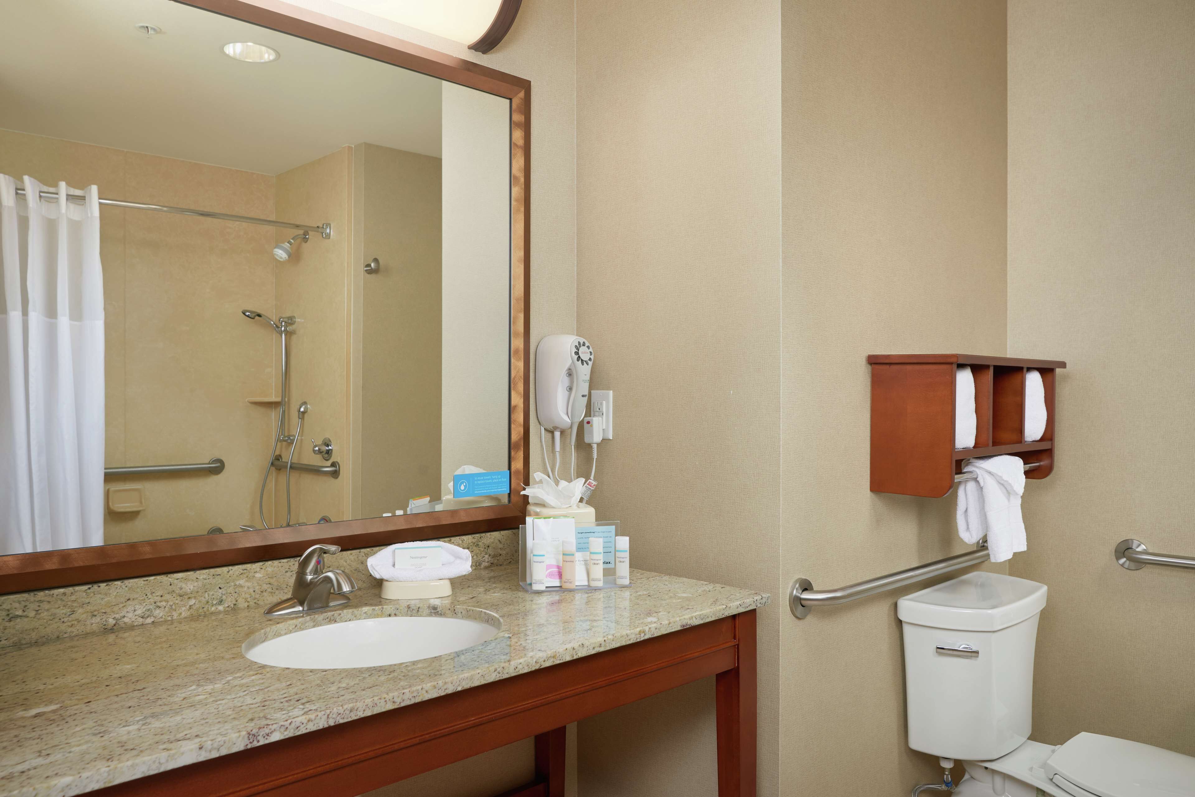 room, 1 king bed, accessible, non smoking | bathroom shower