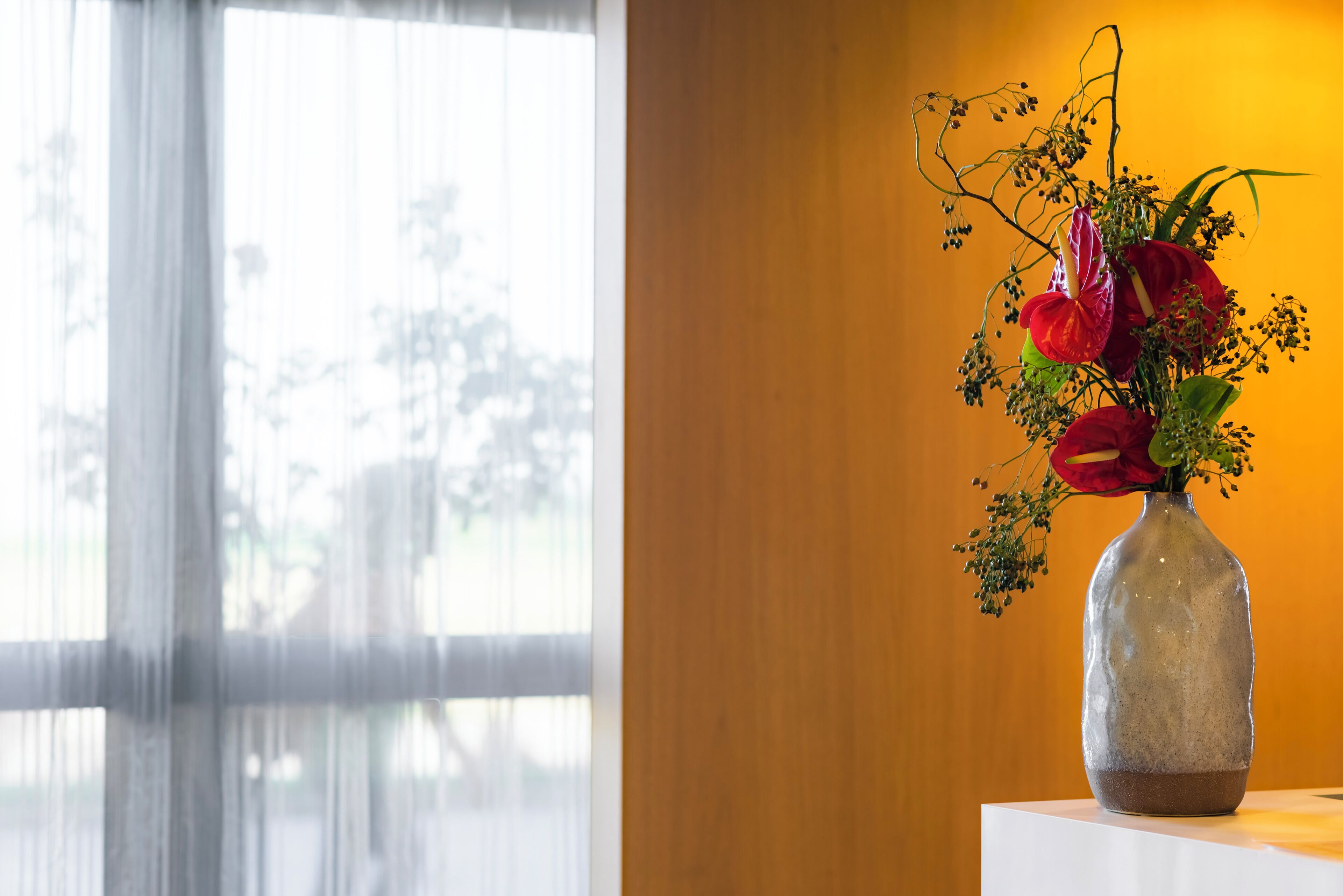 Photo - Best Western Plus Hôtel Le Rhénan & Restaurant Chez Claude