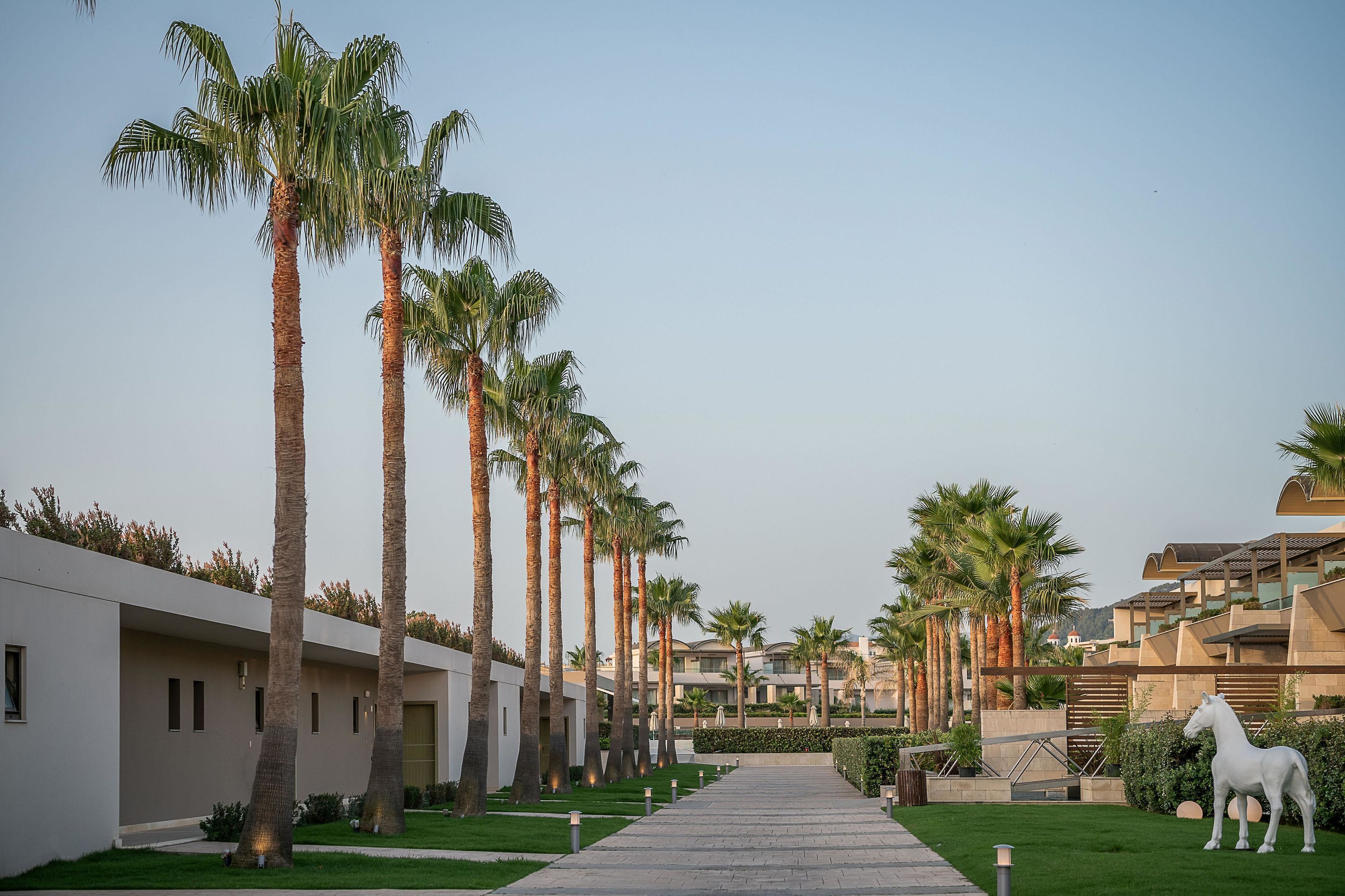 Foto - Avra Imperial Hotel