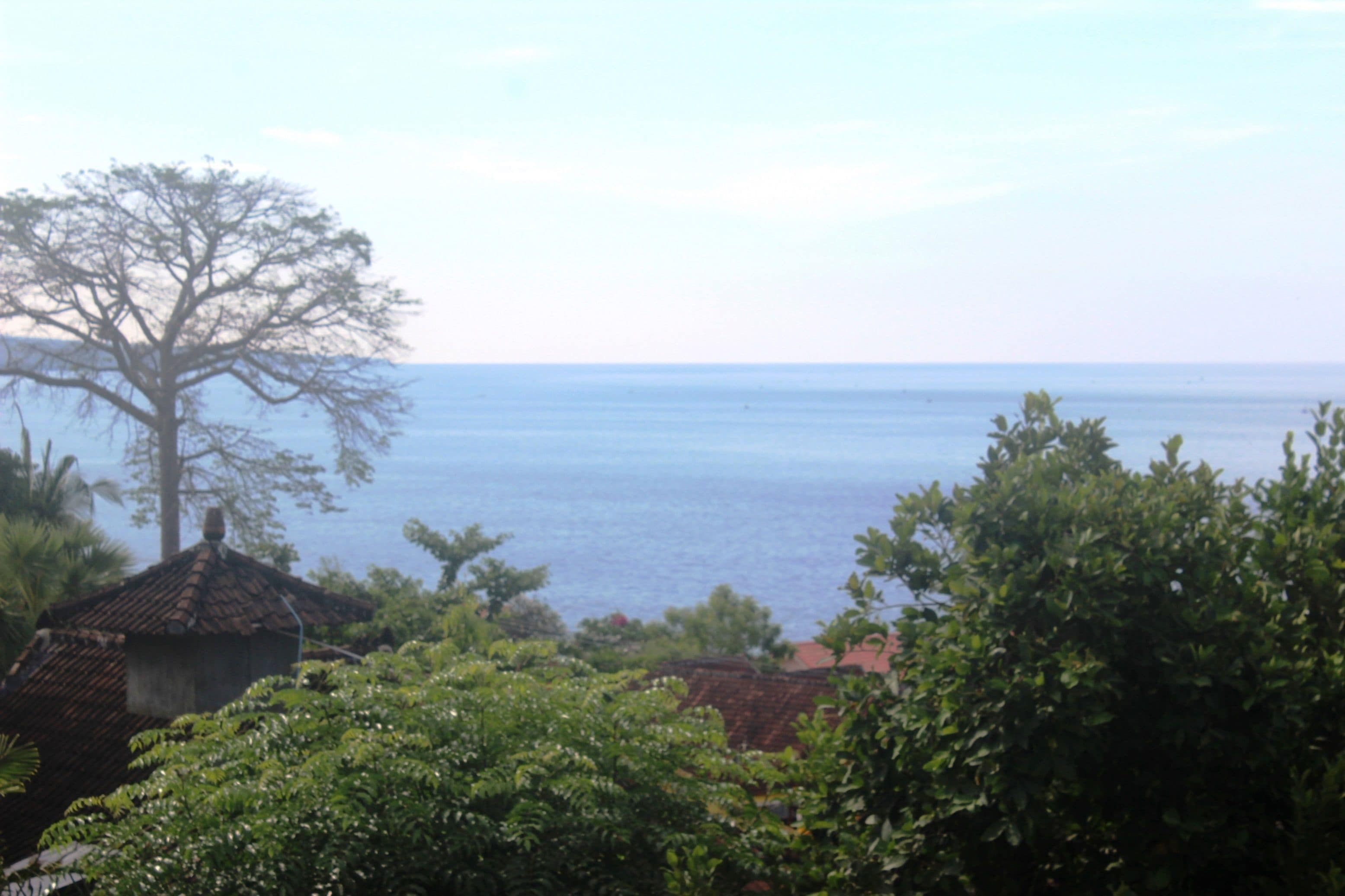 Meeresblick mit einem großen Baum, einem kleinen Gebäude und dem Meer.