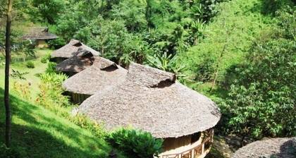 Tadplacamp Organic Farm Stay