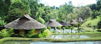 Tadplacamp Organic Farm Stay