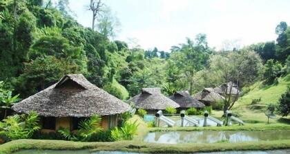 Tadplacamp Organic Farm Stay