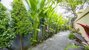 A narrow paved pathway flanked by lush greenery and a grey wall. - Berawa Beach Residence (Tibubeneng)