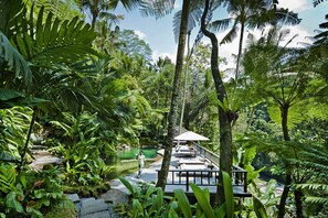 Outdoor pool, pool umbrellas, sun loungers