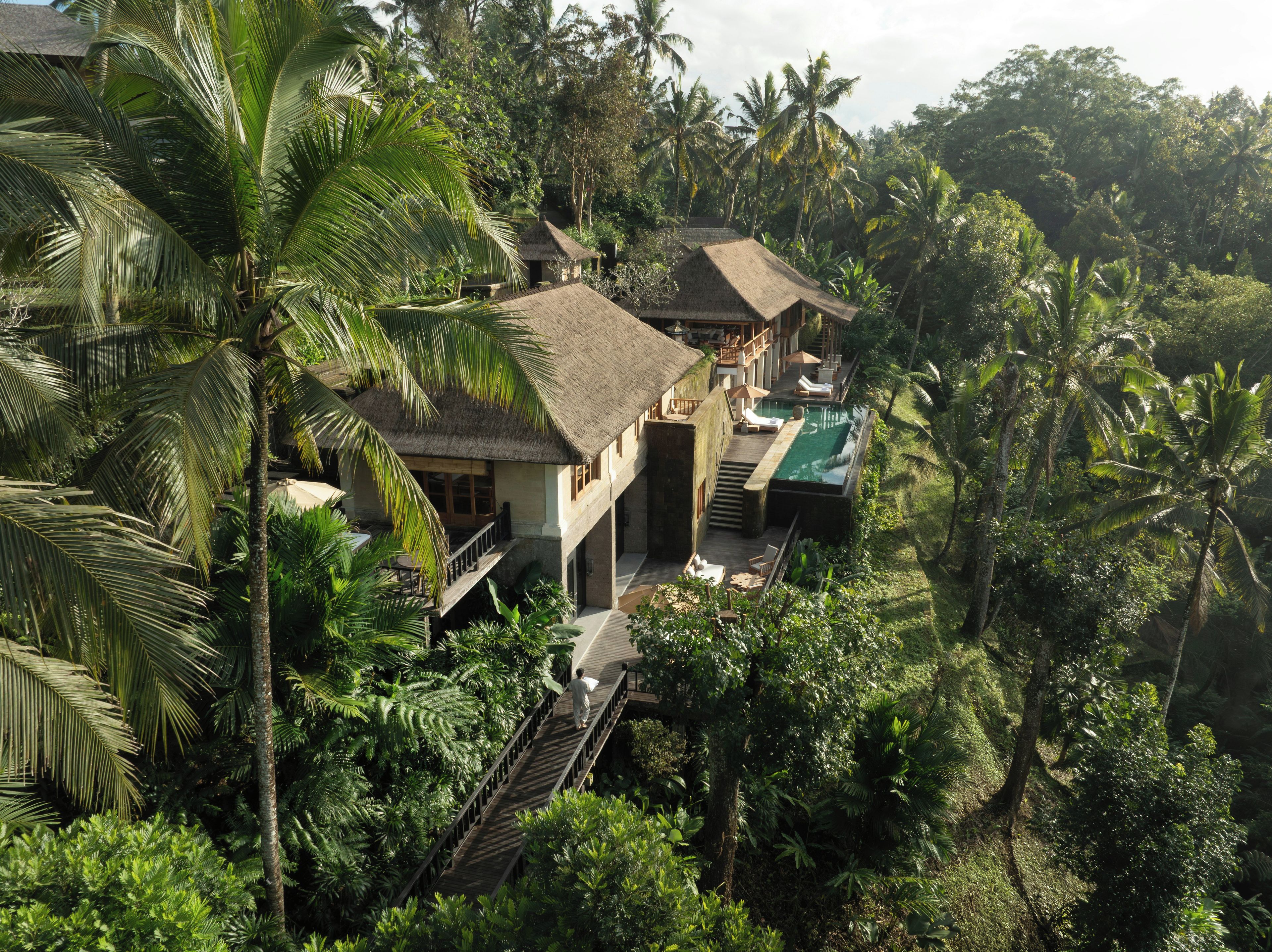A tropical resort with a thatched-roof building, a swimming pool, and lush greenery.