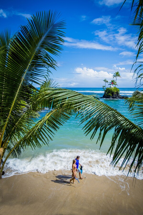 A beach scene with palm trees, clear blue water, and a small island with palm trees.