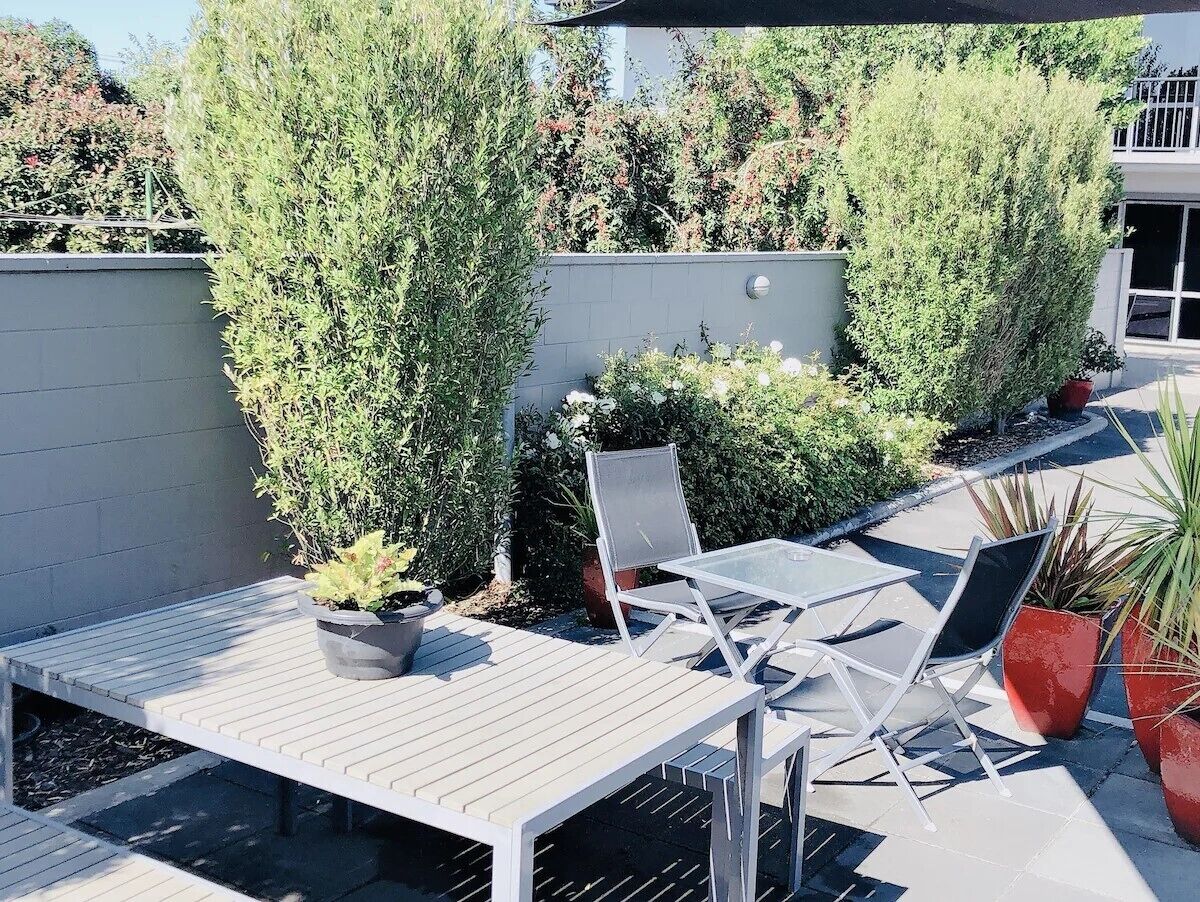 Café da manhã completo todos os dias (NZD 16 por pessoa) 