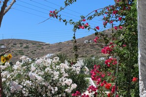 Mountain view - Mare Monte (Ios)