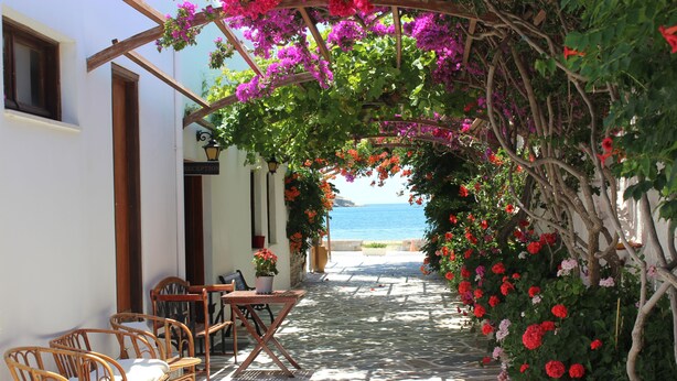 A stone-paved pathway leading to a beach, with wicker furniture and a pergola covered in flowers. - Mare Monte (Ios)