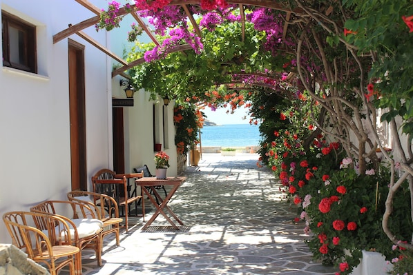 View from property - Mare Monte (Ios)