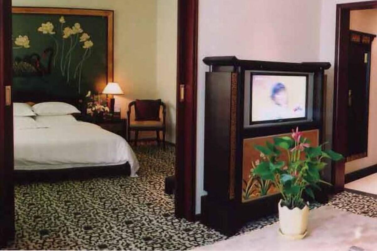 A hotel room with a bed, a television, a chair, and a plant.