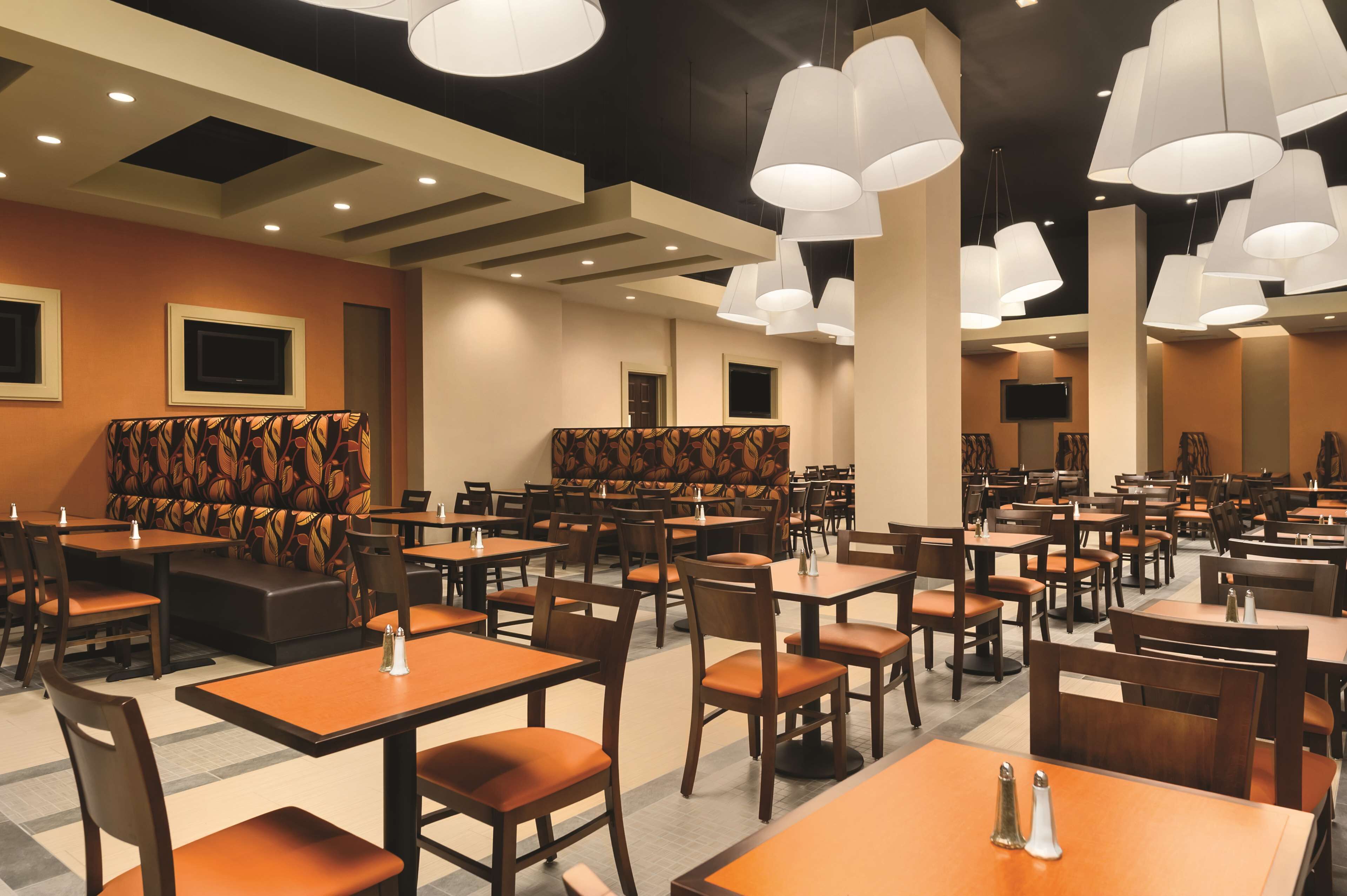 Un comedor amplio con varias mesas y cabinas, iluminación en el techo y un diseño de pared con estampado.