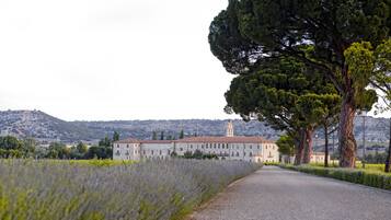 Un edificio con un largo camino de entrada, rodeado de árboles y campos.