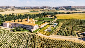 Un vaste domaine comprenant un bâtiment imposant, doté d’un clocher, entouré de vastes vignobles et bordé de collines douces à l’arrière-plan.