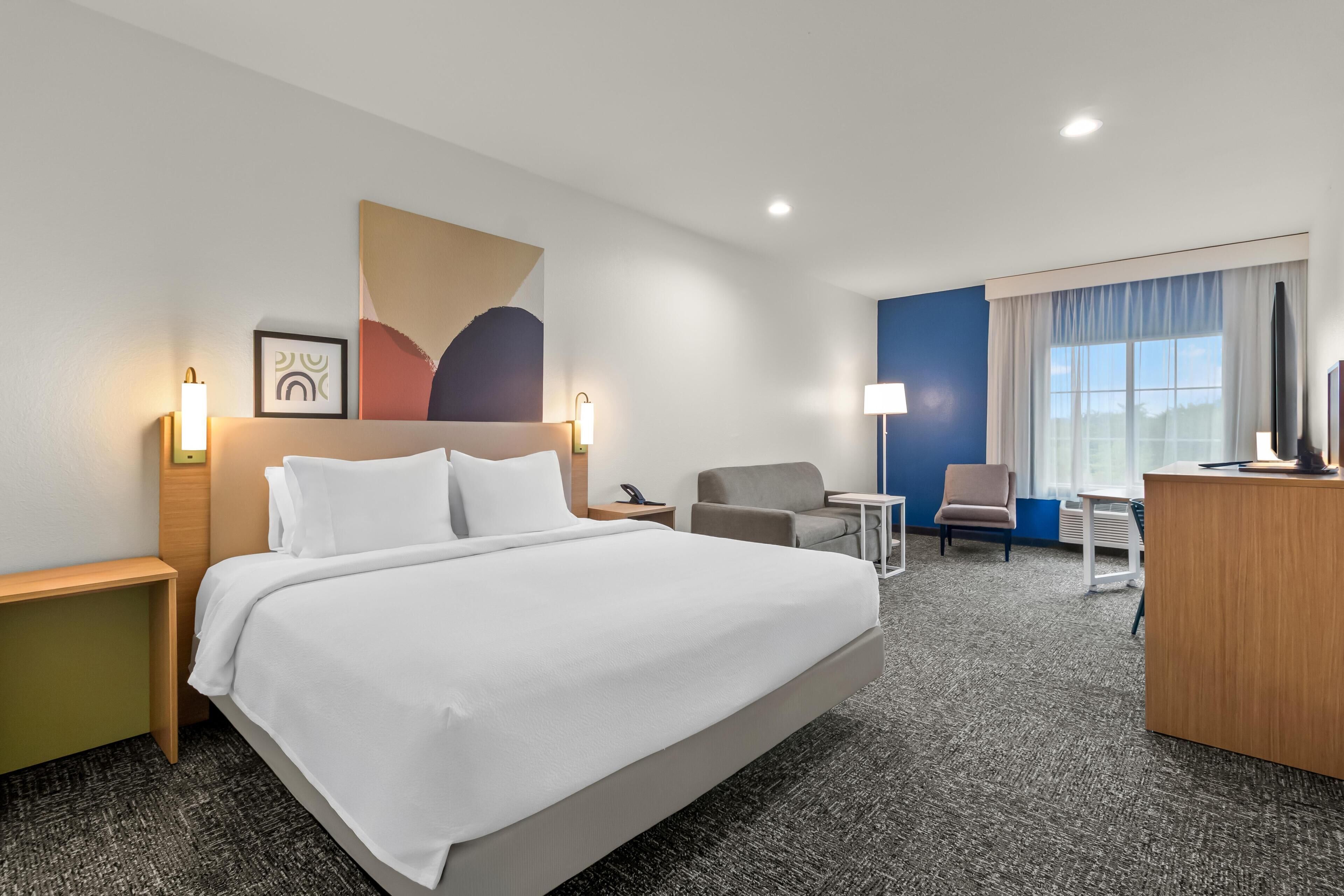 Room, 1 King Bed with Sofa bed