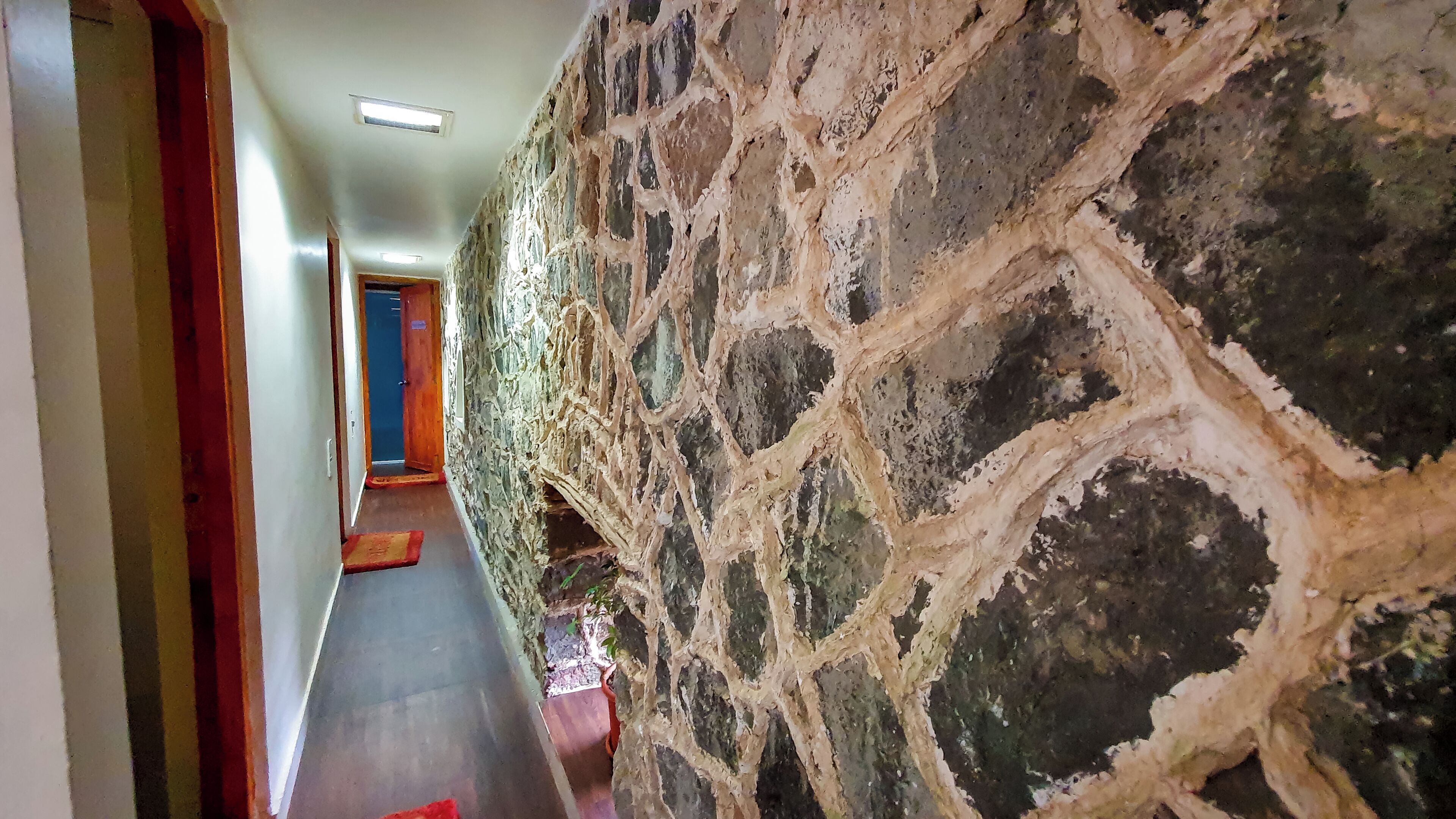 Couples treatment room(s), Thai massages, body scrubs, facials
